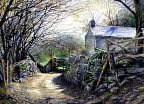 Trees and Stones, Above Cymyoy